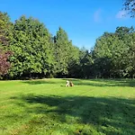 Bois De La Borde