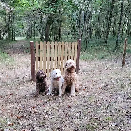 Bois De La Borde Сasa de vacaciones *