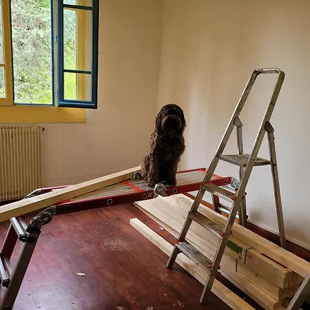 Bois De La Borde Ferienhaus Cancon