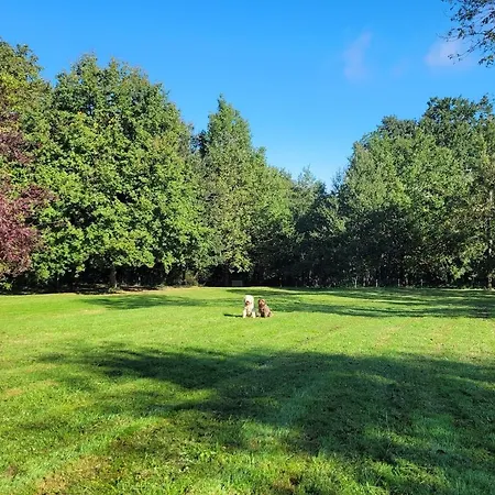 Bois De La Borde
