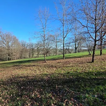 Bois De La Borde *