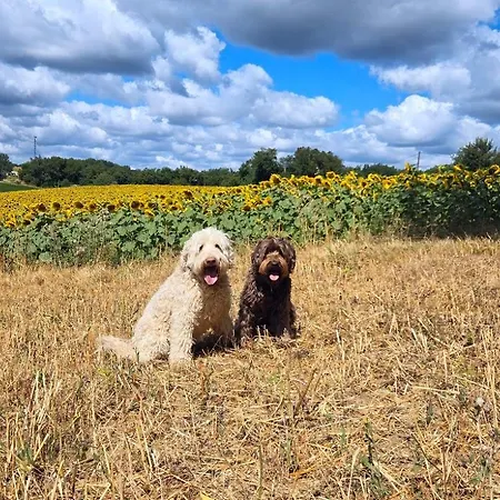 Hébergement de vacances Bois De La Borde Cancon