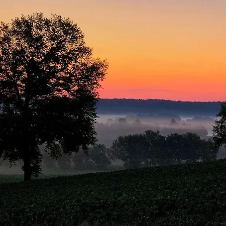 Bois De La Borde Cancon