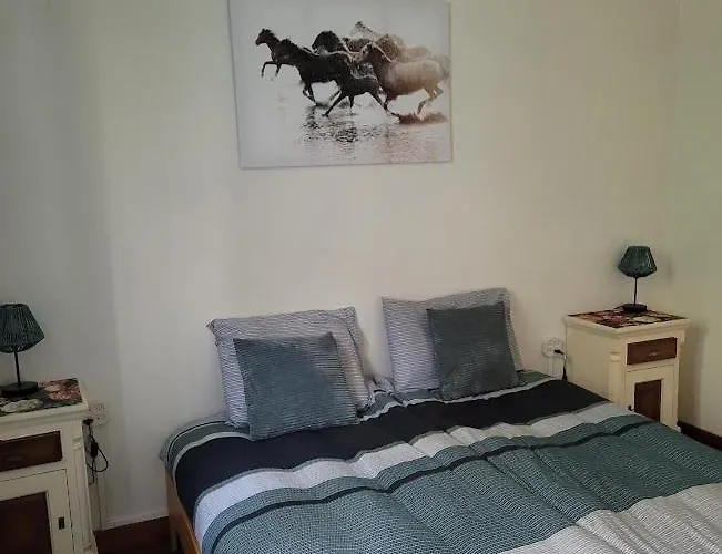 Vakantiehuis Bois De La Borde *