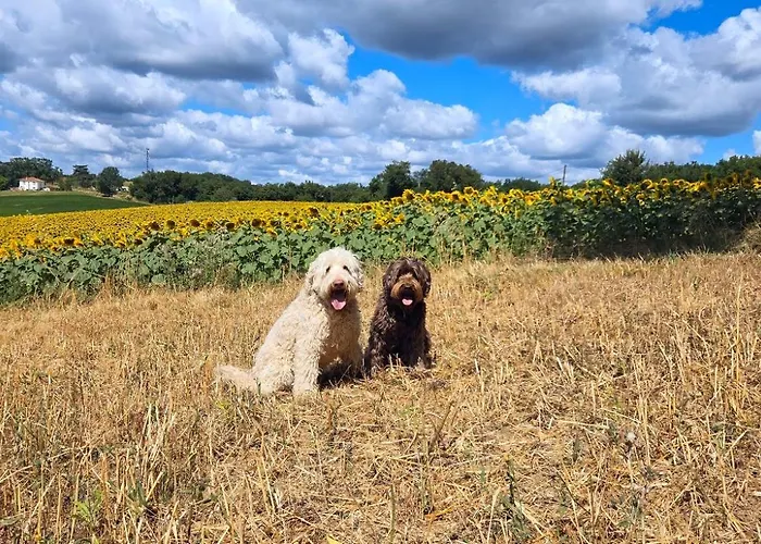 Vakantiehuis Bois De La Borde Cancon