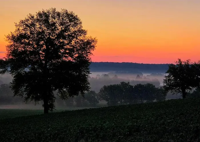 Bois De La Borde Cancon